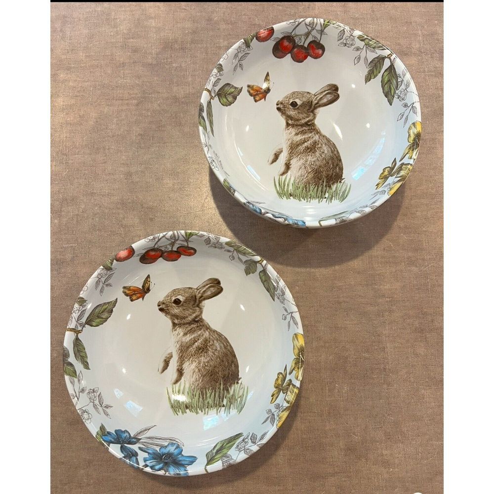 Pier 1 Sofia the Rabbit Butterfly Flowers 8-1/2" Set Of 2 Bowls